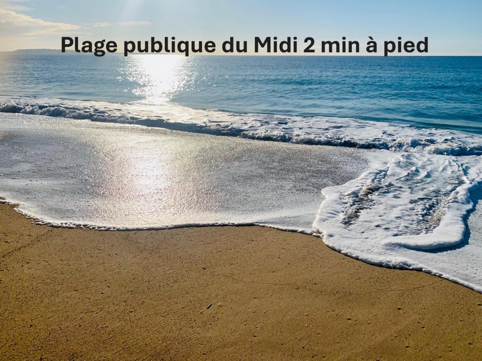 Appartement 2 Pieces Proche Du Midi A1b266 *